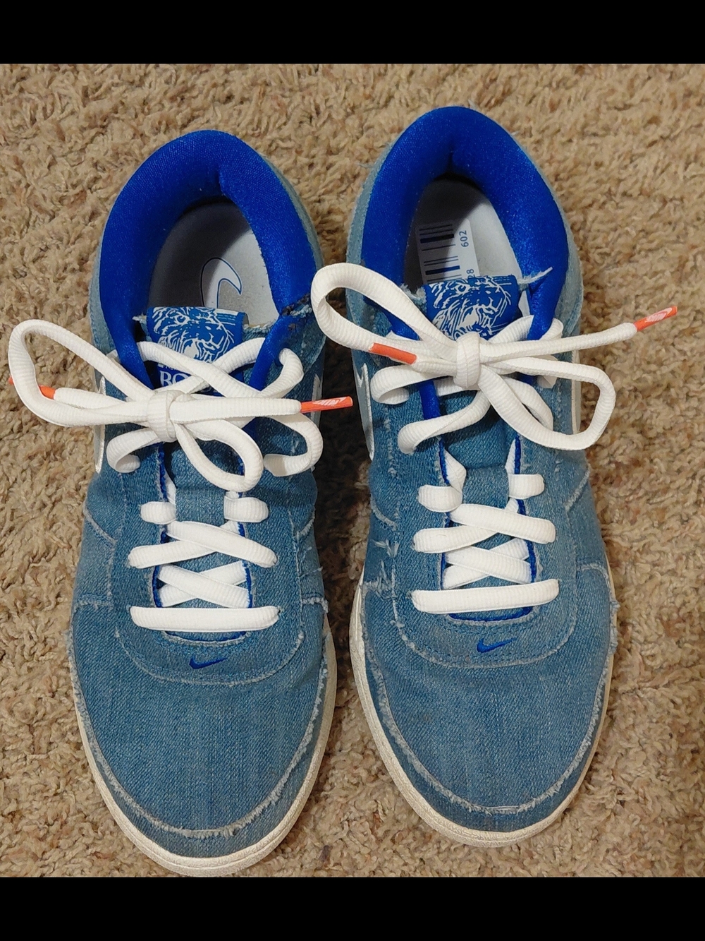 Nike Book 1,2 Blue Blood